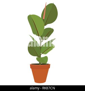 Houseplant - giovani Ficus elastica di una pianta in vaso isolato su sfondo bianco Illustrazione Vettoriale