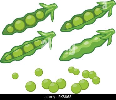 Vector baccelli di piselli verdi e sparse fagioli a pisello. sano cibo organico illustrazione Illustrazione Vettoriale