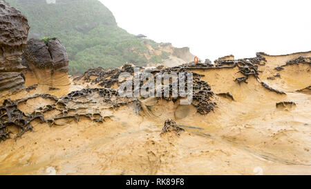 Resistenza agli agenti atmosferici a nido d'ape rock a Yehliu geoparco in Taiwan. Foto Stock