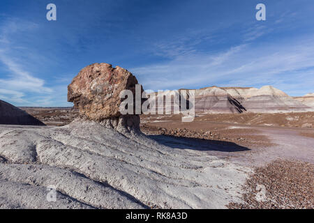 Registri pietrificato con badlands in background nel Parco Nazionale della Foresta Pietrificata, Arizona, Stati Uniti. Foto Stock