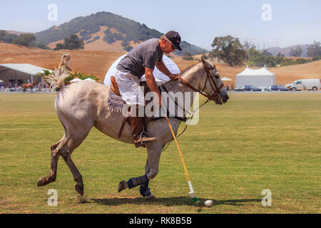 Giocatori di Polo cavalcare sempre pronto a colpire la palla polo ad alta velocità Foto Stock
