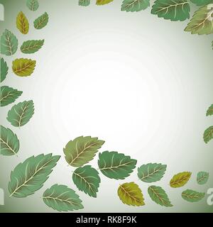 Molla di fresca erba verde lascia il modello del telaio con il curling foglio vuoto design carta illustrazione vettoriale. Illustrazione Vettoriale