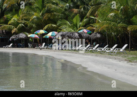 Stella di mare sulla spiaggia di Isla Colon - Bocas Del Toro arcipelago, Panama Foto Stock