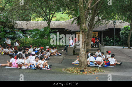 Scolari aventi un picnic durante una visita ai Giardini Botanici di Singapore Foto Stock