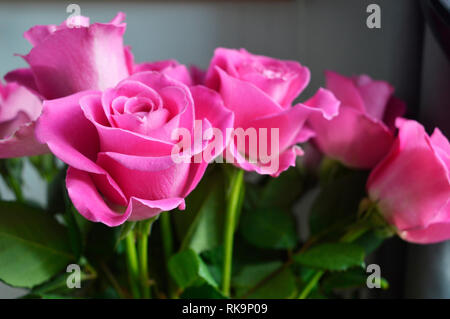 Una immagine di un mazzo di rose rosa Foto Stock