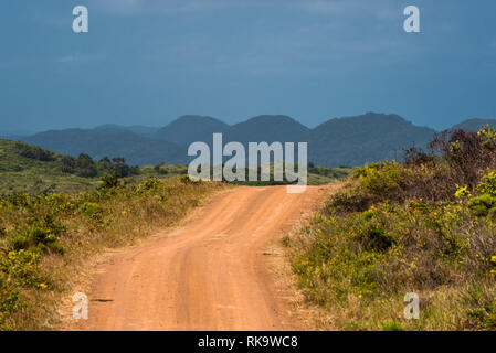 Un rosso di strada sterrata che conduce verso il lontano dalle dune del St Lucia estuary area in Isimangaliso Wetland Park, Sud Africa Foto Stock