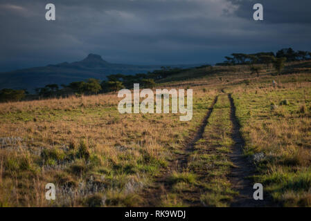 Una via conduce attraverso un piano erboso verso il fumoso montagne in distanza, illuminato dalla tarda sera sun. Drakensberg, Sud Africa Foto Stock