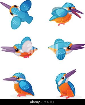 Vector cartoon clipart animale: kingfisher birds set Illustrazione Vettoriale