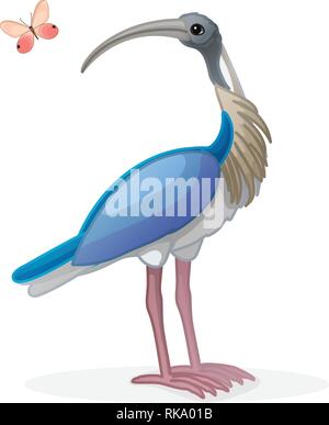 Vector cartoon clipart animale: ibis bird Illustrazione Vettoriale