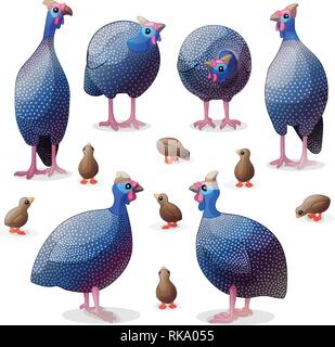 Vector cartoon clipart animale: guineafowls Illustrazione Vettoriale