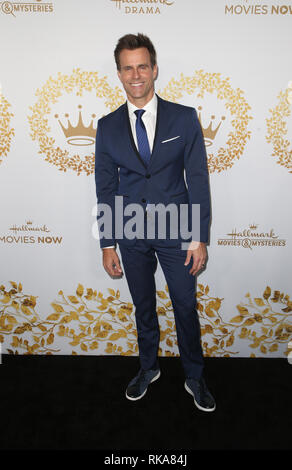 PASADENA, CA - febbraio 9: Cameron Mathison, all'Hallmark Channel e Hallmark Film & Misteri Inverno 2019 TCA a casa del torneo a Pasadena, in California il 9 febbraio 2019. Credito: Faye Sadou/MediaPunch Foto Stock
