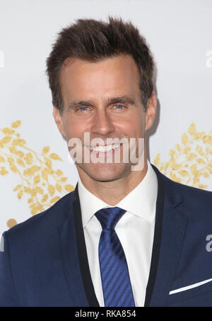 PASADENA, CA - febbraio 9: Cameron Mathison, all'Hallmark Channel e Hallmark Film & Misteri Inverno 2019 TCA a casa del torneo a Pasadena, in California il 9 febbraio 2019. Credito: Faye Sadou/MediaPunch Foto Stock