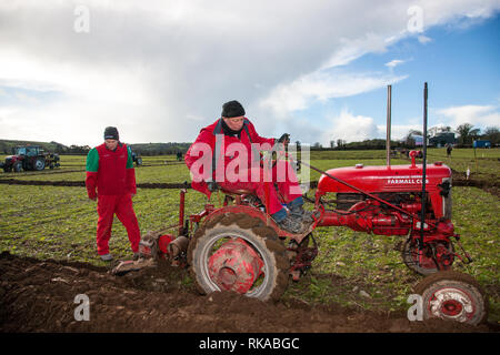 Timogeague, Cork, Irlanda. 10 Febbraio, 2019. John Curran e Damien Ahern da Glanmire presso il West Cork aratura match di associazione che si è tenuta a Timoleague, Co. Cork, Irlanda Credito: David Creedon/Alamy Live News Foto Stock