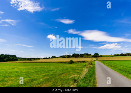 Una strada di campagna al tramonto nei campi di grano in estate Foto Stock