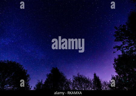 Notte cielo sopra il paesaggio rurale. Bella notte cielo stellato, ISO elevata paesaggio. Foto Stock