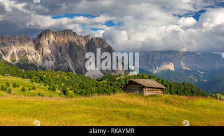 La luce del sole sul Seceda prati alpini. Puez picchi di montagna e il massiccio del Sella in background. Il Gardena Dolomiti. Ortisei. Alpi italiane. L'Europa. Foto Stock