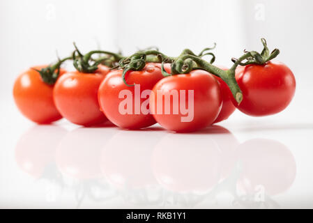 Pomodori ciliegia ramo isolato su sfondo bianco. Lo specchio di riflessione. Foto Stock