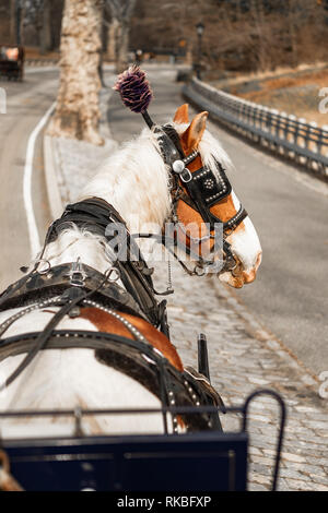 Carrello NYC Cavallo Dorado Foto Stock