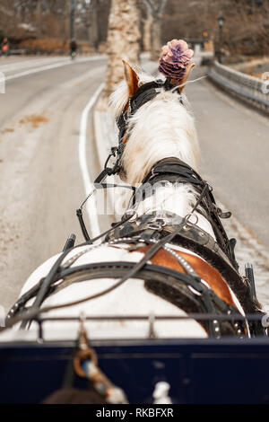 Carrello NYC Cavallo Dorado Foto Stock