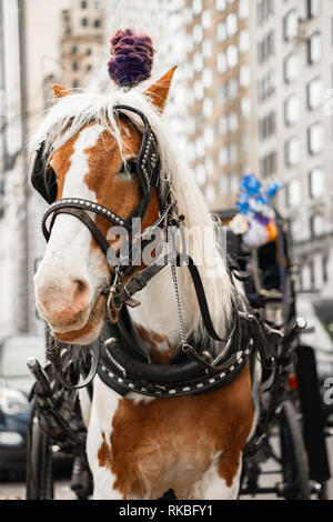 Carrello NYC Cavallo Dorado Foto Stock