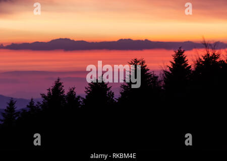 Alberi sagome contro un colore bellissimo cielo al tramonto, con montagne di strati in background Foto Stock