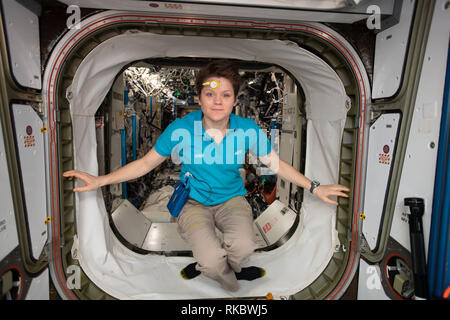 L'astronauta della NASA Anne McClain sorge all'interno del vestibolo tra il modulo di armonia e il destino del modulo di laboratorio a bordo della Stazione Spaziale Internazionale il 30 gennaio 2019 in orbita intorno alla terra. McClain indossa un sensore sulla sua fronte che è la raccolta di dati per i ritmi circadiani esperimento ricerca come un astronauta dell'orologio biologico modifiche durante la lunga durata del volo spaziale. Foto Stock