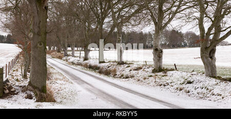 Neve si trova in un vicolo del paese alberato (prevalentemente faggio) nelle zone rurali Aberdeenshire. Foto Stock