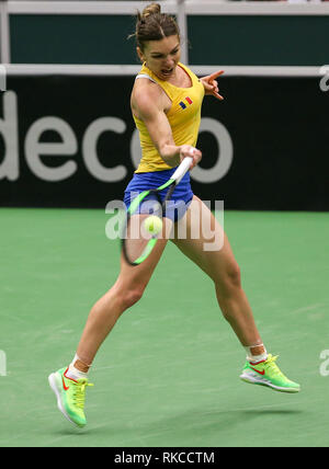 Ostrava, Repubblica Ceca. 10 Febbraio, 2019. Il rumeno tennista Simona Halep in azione durante la partita contro il Karolina Pliskova della Repubblica ceca durante la Fed Cup World Group, 1° round, tra Repubblica ceca e la Romania, in Ostrava, Repubblica Ceca, il 10 febbraio 2019. Credito: Vladimir Prycek/CTK foto/Alamy Live News Foto Stock