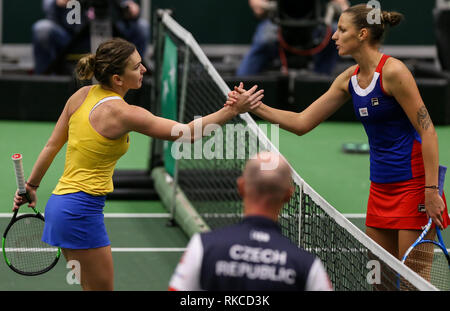 Ostrava, Repubblica Ceca. 10 Febbraio, 2019. Il rumeno tennista Simona Halep (sinistra) scuote le mani con Karolina Pliskova della Repubblica ceca dopo la Fed Cup World Group, 1° round, tra Repubblica ceca e la Romania, in Ostrava, Repubblica Ceca, il 10 febbraio 2019. Credito: Petr Sznapka/CTK foto/Alamy Live News Foto Stock