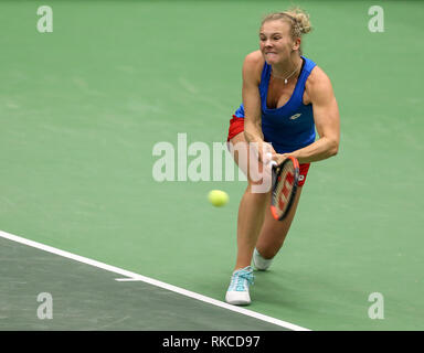 Ostrava, Repubblica Ceca. 10 Febbraio, 2019. KATERINA SINIAKOVA della Repubblica ceca in azione durante il match contro il rumeno giocatore di tennis MIHAELA BUZARNESCU durante la Fed Cup World Group, 1° round, tra Repubblica ceca e la Romania, in Ostrava, Repubblica Ceca, il 10 febbraio 2019. Credito: Vladimir Prycek/CTK foto/Alamy Live News Foto Stock