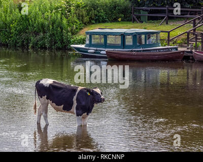 DEDHAM, ESSEX, UK - 13 GIUGNO 2018: Escursione in barca legata sul fiume Stour Foto Stock