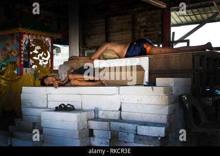 Pulau Ketam isola, Malaysia. Gennaio 2019. I suoi abitanti dell'isola mentre si riposano in ombra Foto Stock