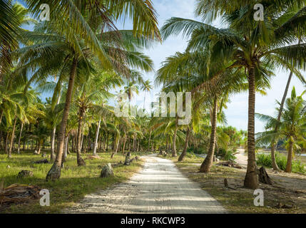 Strada sterrata che conduce attraverso il boschetto di palme da cocco da Camiguin beach - Filippine Foto Stock