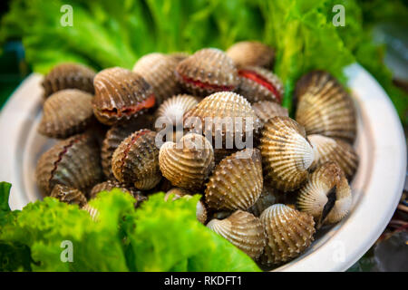 Hoy Kraeng o sangue cardidi, noto anche come il sangue di vongole sono un popolare street food snack in tutta la Tailandia. Cardidi sono diffusi anche in Malaysia. Foto Stock