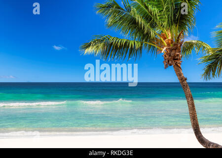Bellissima spiaggia sfondo Foto Stock