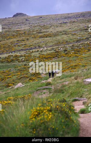 Coppia giovane indossare nero a piedi il percorso Wistmans legno, Parco Nazionale di Dartmoor, due ponti. Devon, Regno Unito. Foto Stock