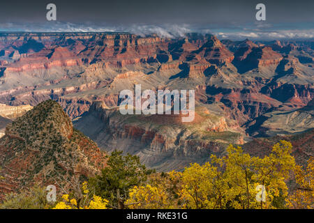 South Rim, a Ferro di Cavallo Mesa, il Parco Nazionale del Grand Canyon, Arizona Foto Stock