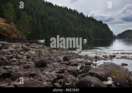 Tenedos Bay, desolazione Suono, British Columbia, Canada Foto Stock