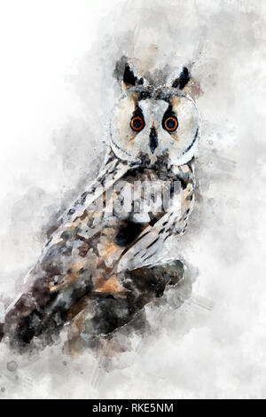 Illustrazione ad acquerello owl ritratto. Bella wildlife world Foto Stock