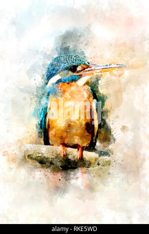 Illustrazione ad acquerello kingfisher bird. Bella wildlife world Foto Stock