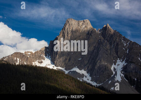 Parco Nazionale di Yoho, Rockies, British Columbia, Canada Foto Stock