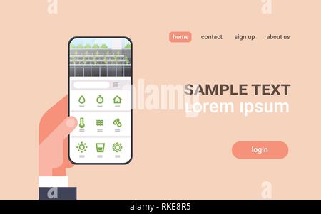 Mano che tiene lo smartphone utilizzando il controllo intelligente del sistema di allevamento online applicazione mobile hydroponic organico piante verdi coltivazione filari farm moderno Illustrazione Vettoriale