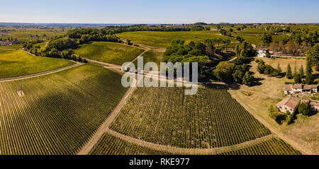 Vista aerea vigneti di Bordeaux, Saint-Emilion, Aquitaine area della Gironde department, Francia, Europa Foto Stock