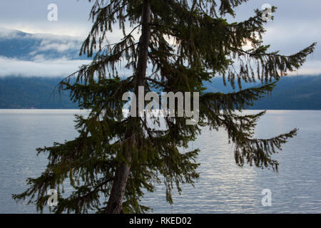 Lago di zucchero, Thompson-Okanagan, British Columbia, Canada Foto Stock