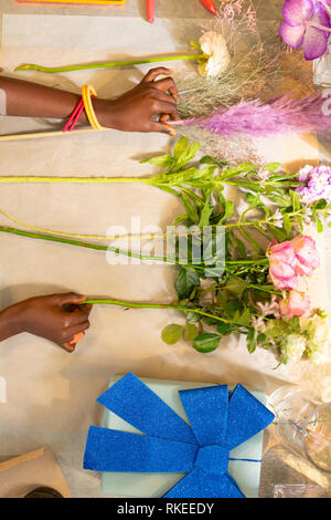 Vista superiore foto di mani femminili che prendendo fiore Foto Stock