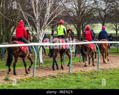 Newmarket, Regno Unito. Xi Febbraio, 2019. Ai cavalli da corsa continuano ad essere hanno esercitato in Newmarket UK a dispetto di 4 nuovi test positivi per influenza equina nel cantiere di Newmarket del trainer piana Simon Crisford. Regno Unito Horsedracing è in attesa almeno fino al mercoledì mentre il British Horseracing Authority continua a prove di cavalli su tutto il territorio nazionale. Credito: Robert Evans/Alamy Live News Foto Stock