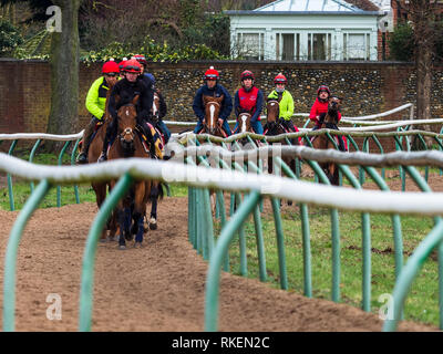 Newmarket, Regno Unito. Xi Febbraio, 2019. Ai cavalli da corsa continuano ad essere hanno esercitato in Newmarket UK a dispetto di 4 nuovi test positivi per influenza equina nel cantiere di Newmarket del trainer piana Simon Crisford. Regno Unito Horsedracing è in attesa almeno fino al mercoledì mentre il British Horseracing Authority continua a prove di cavalli su tutto il territorio nazionale. Credito: Robert Evans/Alamy Live News Foto Stock