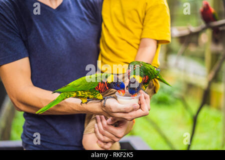 Ded e figlio di alimentare il pappagallo nel parco. Trascorrere il tempo con i bambini del concetto. Foto Stock