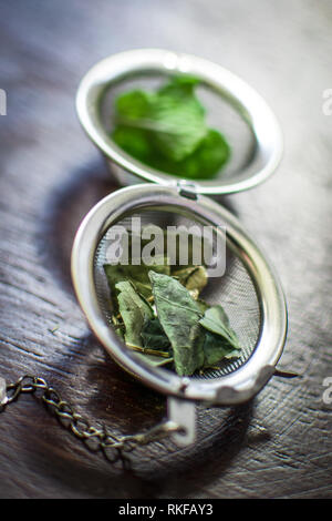 Metallo infusore da tè con foglie essiccate di tè verde e menta fresca su un marrone scuro dello sfondo in legno Foto Stock