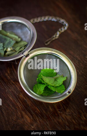 Metallo infusore da tè con foglie essiccate di tè verde e menta fresca su un marrone scuro dello sfondo in legno Foto Stock